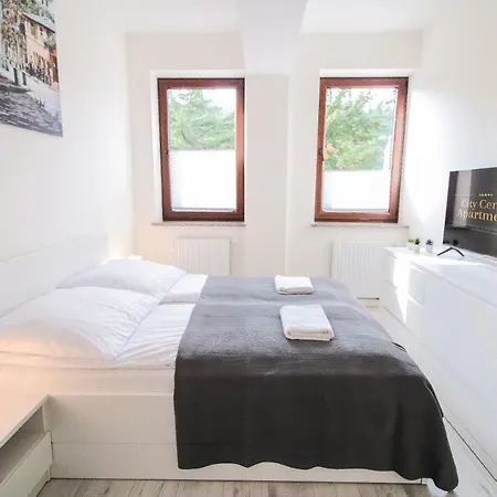 Center Classic Apartment *